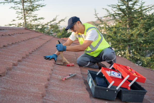 Best Local Roofing Companies  in Watts Mills, SC